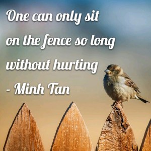 sit fence quote minh tan halifax
